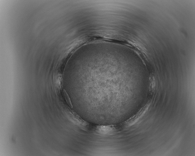 X0000113200141200909171521