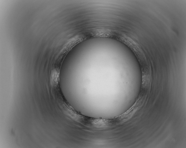 X0000113200142200909171521