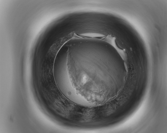 X0000113200143200909171521