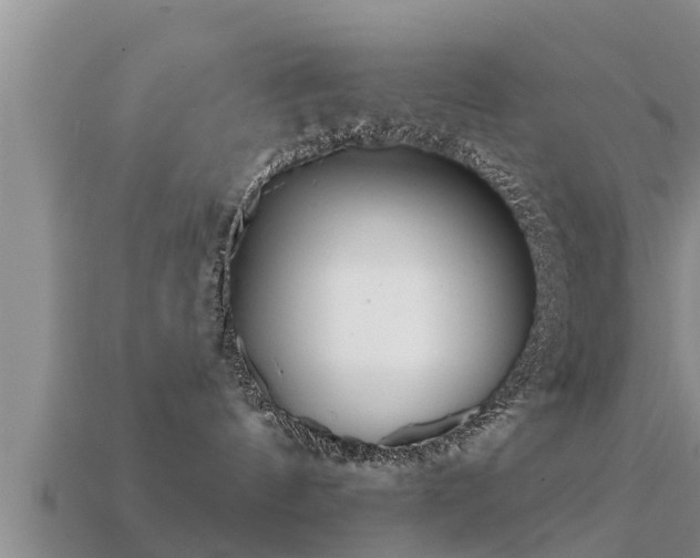 X0000113200144200909171521