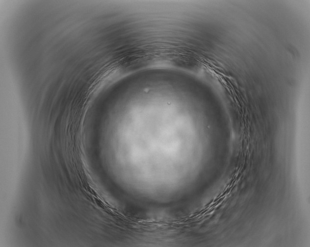 X0000113200145200909171520