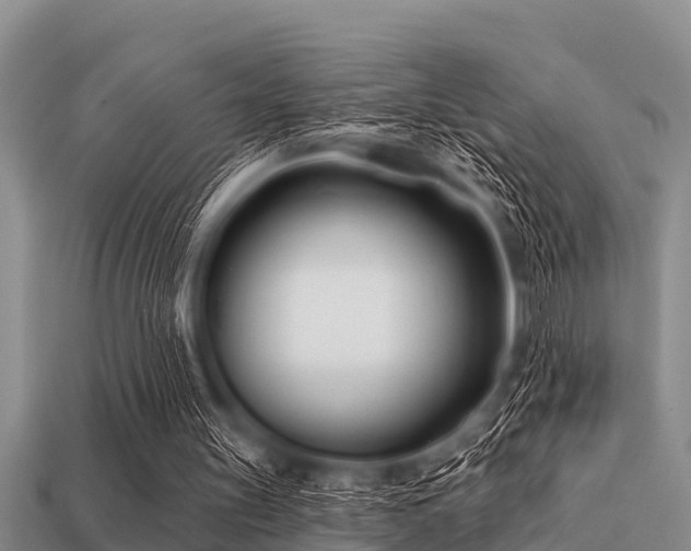 X0000113200147200909171520