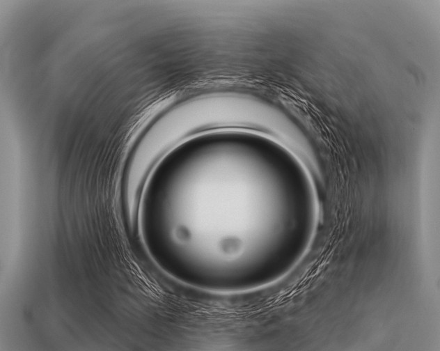 X0000113200148200909171520