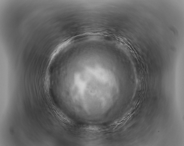 X0000113200149200909171520