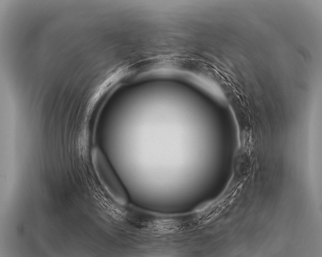 X0000113200150200909171521