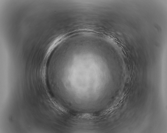 X0000113200151200909171521