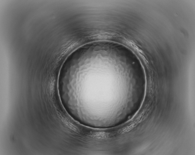 X0000113200153200909171521