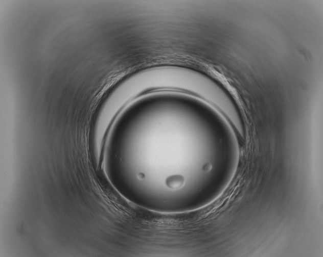 X0000113200154200909171521