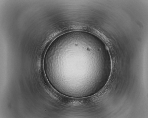 X0000113200155200909171521