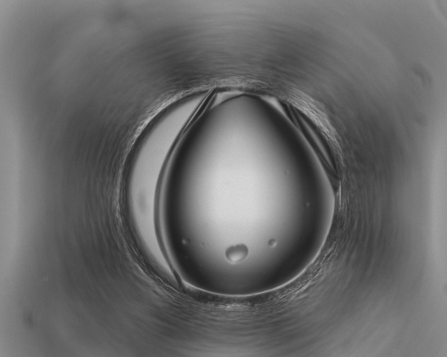 X0000113200156200909171521