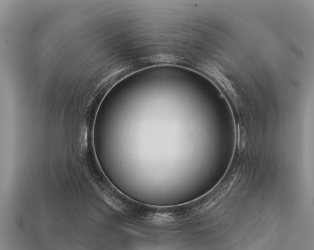 X0000113200157200909171521