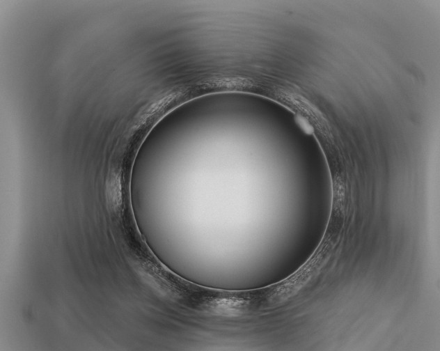 X0000113200158200909171521