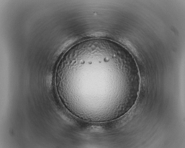 X0000113200159200909171521