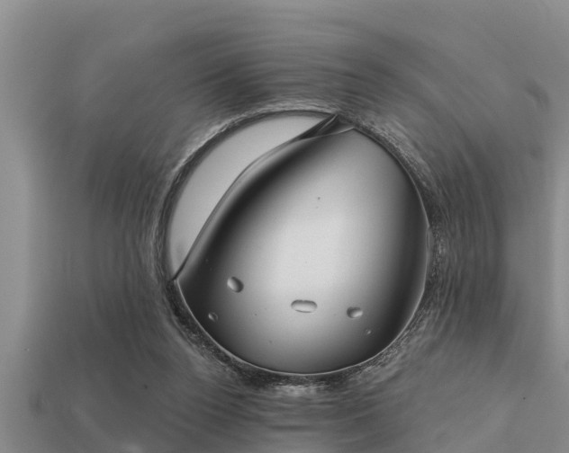 X0000113200160200909171521