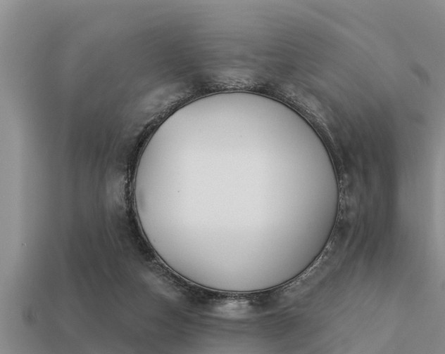 X0000113200162200909171521