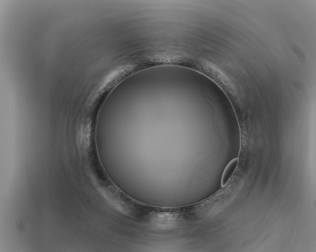 X0000113200163200909171521