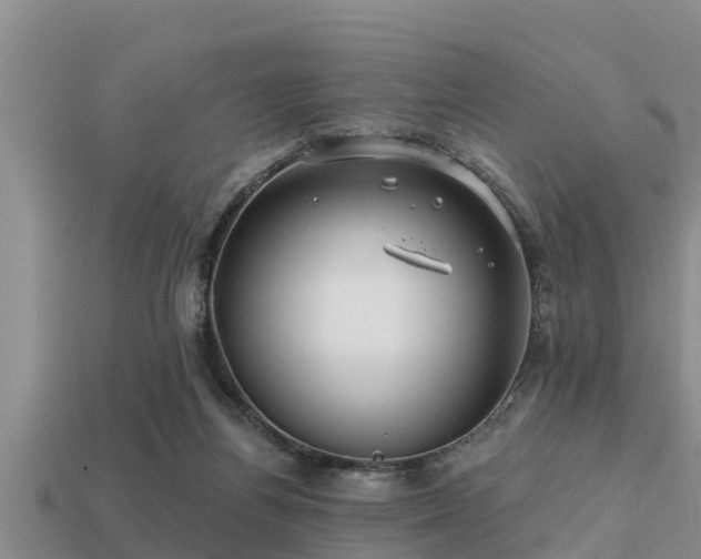 X0000113200164200909171521