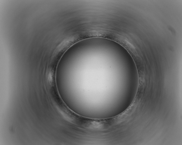 X0000113200166200909171521