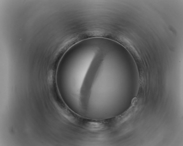 X0000113200167200909171521