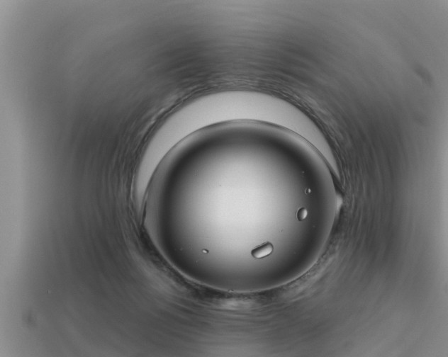 X0000113200168200909171521