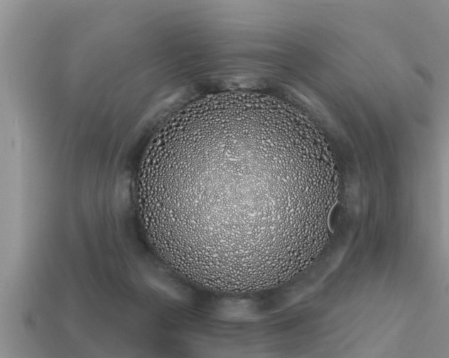 X0000113200169200909171521