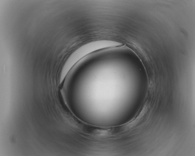 X0000113200170200909171521