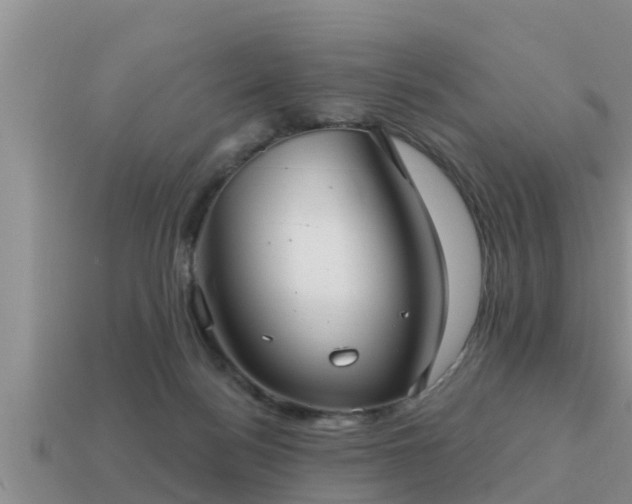 X0000113200172200909171521