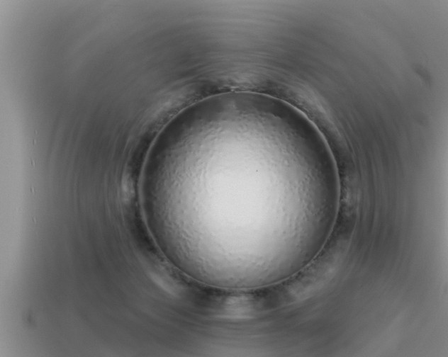 X0000113200173200909171521