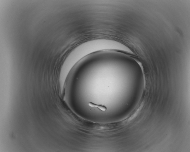 X0000113200174200909171521