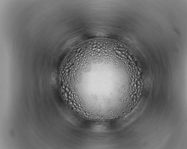 X0000113200175200909171521