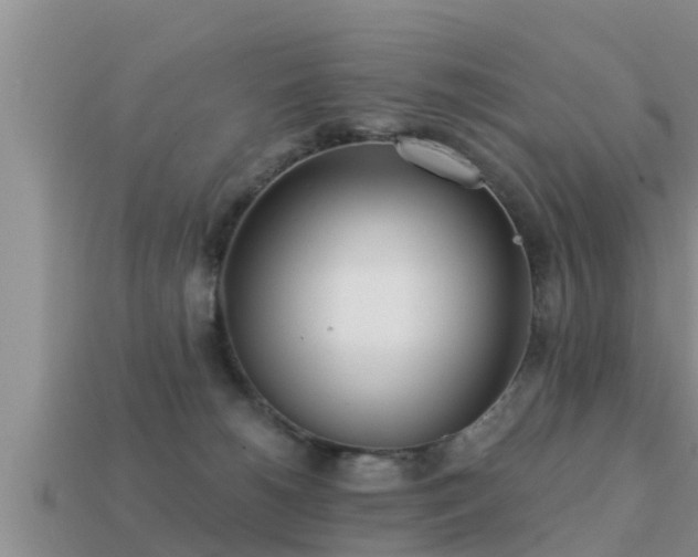 X0000113200180200909171521