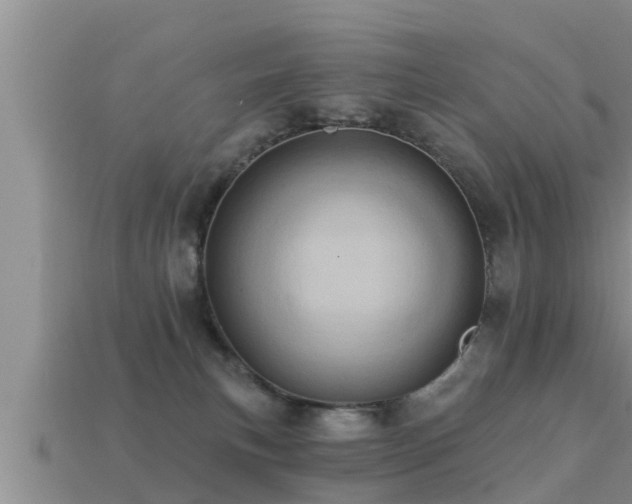 X0000113200183200909171521