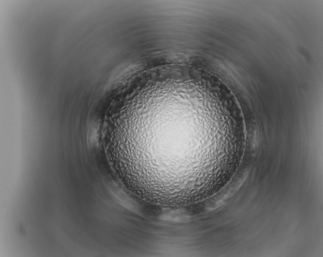 X0000113200185200909171521