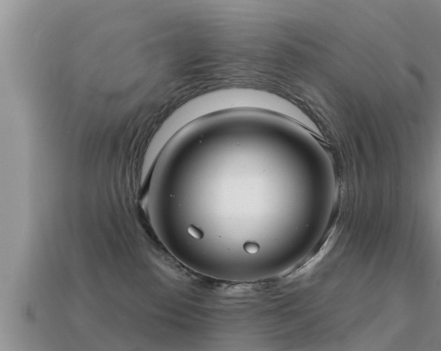 X0000113200186200909171521