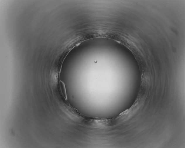 X0000113200188200909171521