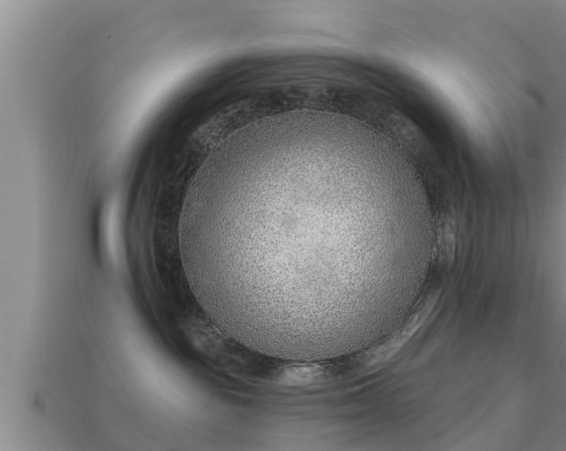 X0000113200189200909171521