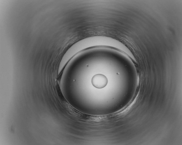 X0000113200190200909171521