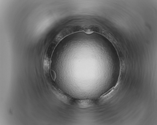 X0000113200191200909171521