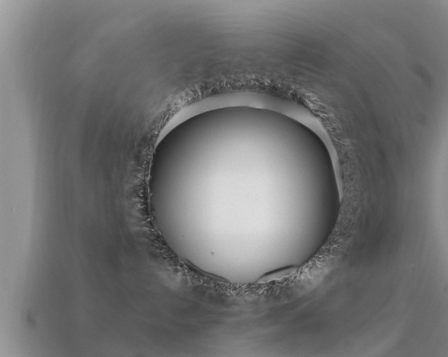 X0000113200192200909171521