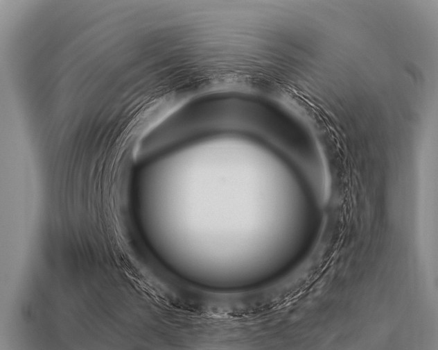 X0000113200193200909171520