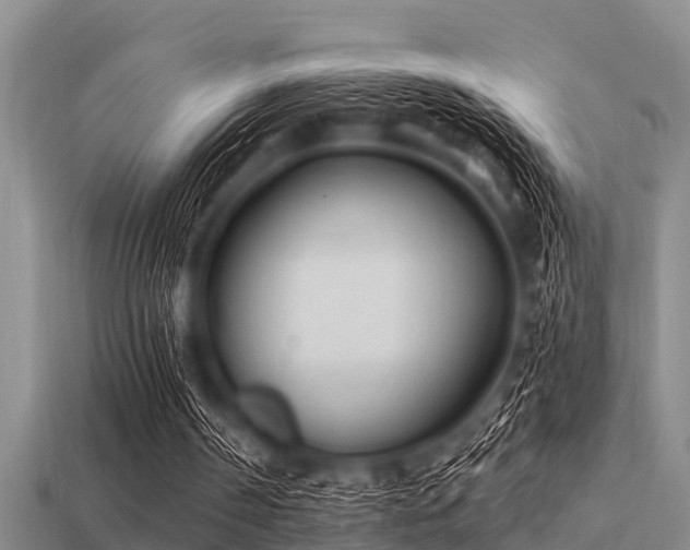 X0000113200194200909171520