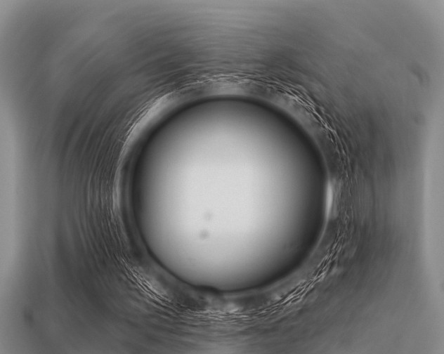 X0000113200195200909171520