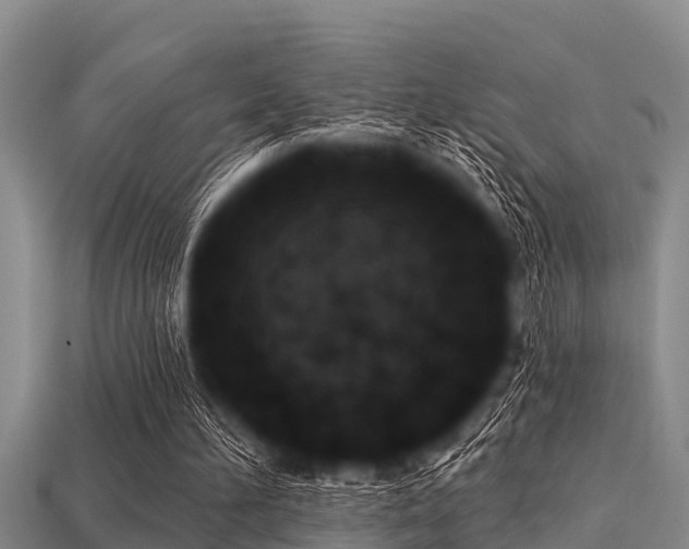 X0000113200196200909171520