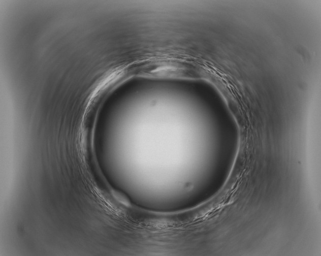 X0000113200197200909171520