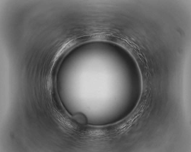 X0000113200198200909171520