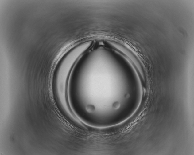 X0000113200199200909171520