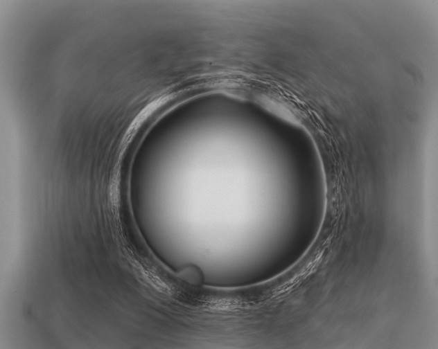 X0000113200200200909171520