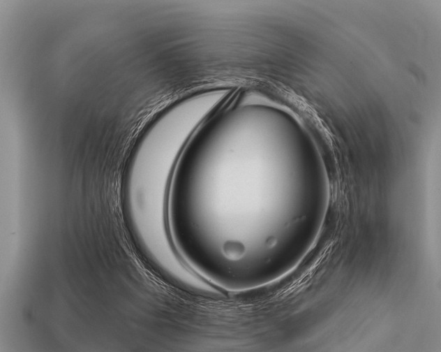 X0000113200201200909171520