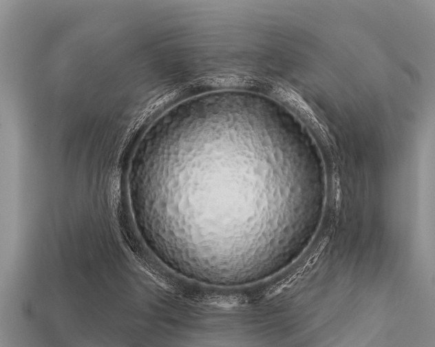 X0000113200202200909171520