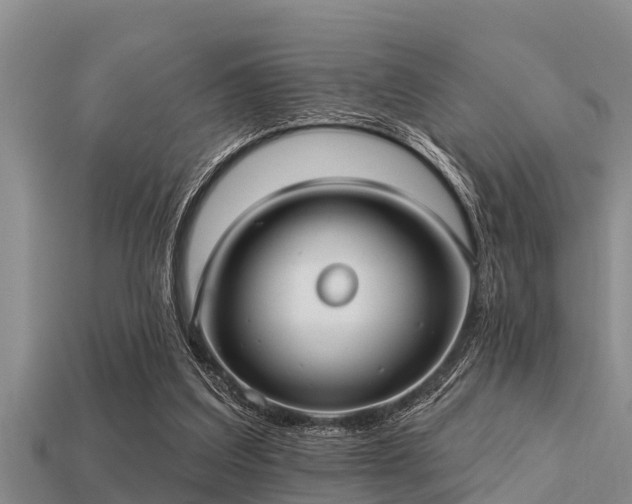 X0000113200203200909171520